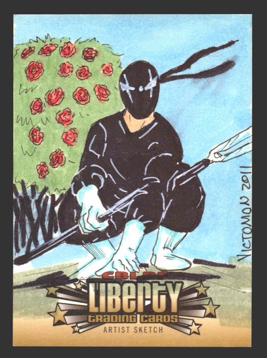 2011 Cryptozoic CBLDF Liberty Artist Sketch Card by Victor "Victomon" Rodriguez - TvMovieCards.com