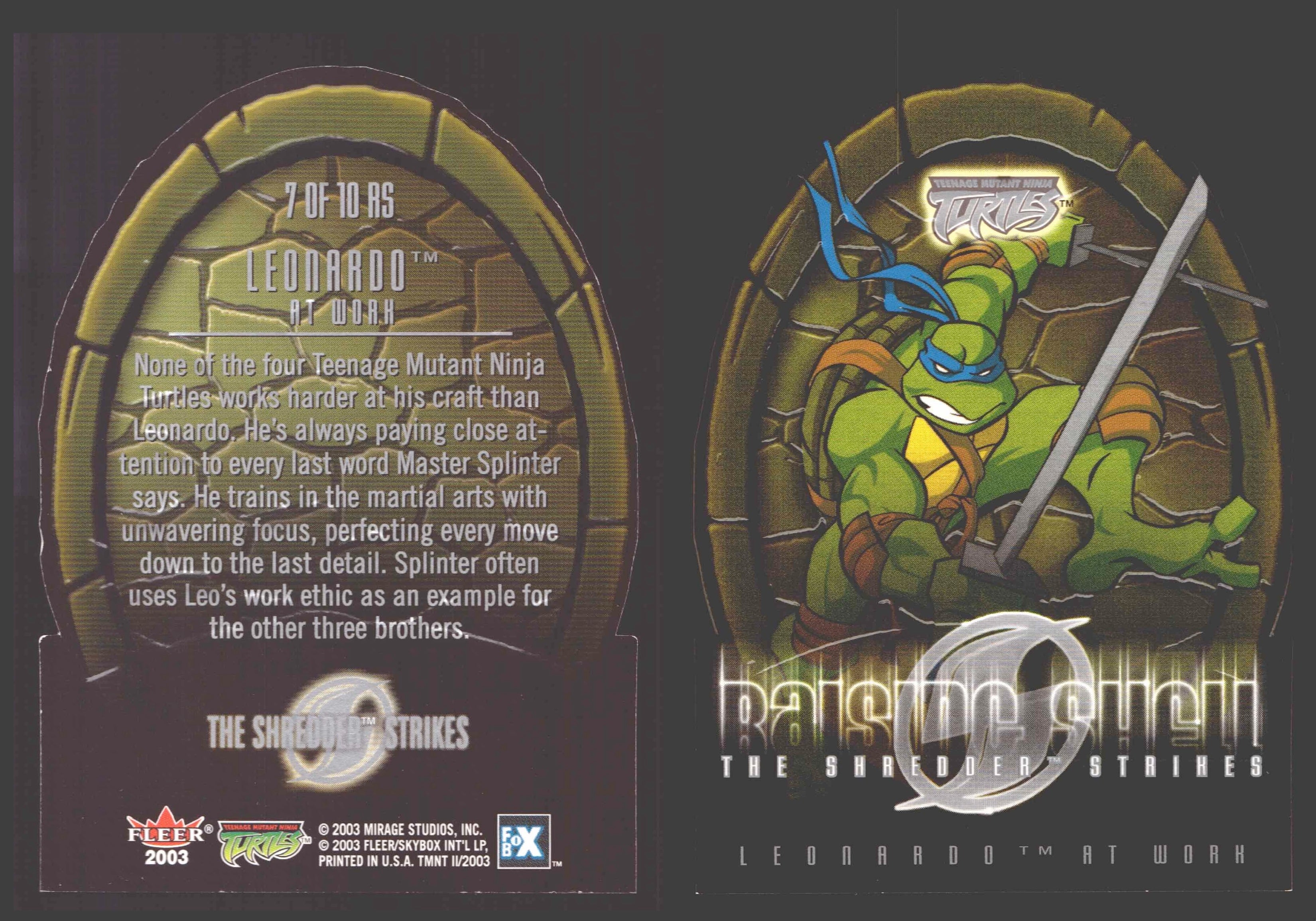 tomo(๑´ڡ`๑) 2003 Teenage Mutant Ninja Turles TMNT 1/2 Fleer Insert Chase You