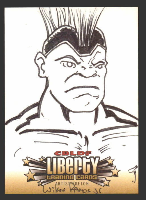 2011 Cryptozoic CBLDF Liberty Artist Sketch Card by Wilson Ramos Jr   - TvMovieCards.com