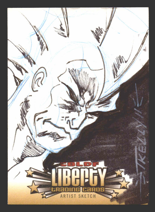 2011 CBLDF Comic Book Legal Defense Fund Liberty Artist Sketch Trading Card   - TvMovieCards.com