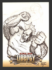 2011 CBLDF Comic Book Legal Defense Fund Liberty Artist Sketch Trading Card - TvMovieCards.com