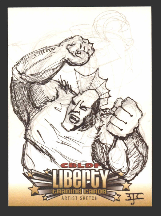 2011 CBLDF Comic Book Legal Defense Fund Liberty Artist Sketch Trading Card - TvMovieCards.com