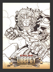 2011 Cryptozoic CBLDF Liberty Artist Sketch Card by Lak Lim   - TvMovieCards.com