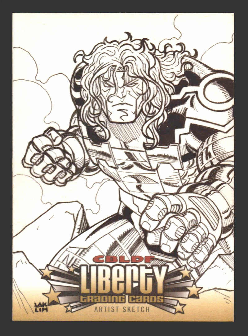2011 Cryptozoic CBLDF Liberty Artist Sketch Card by Lak Lim   - TvMovieCards.com