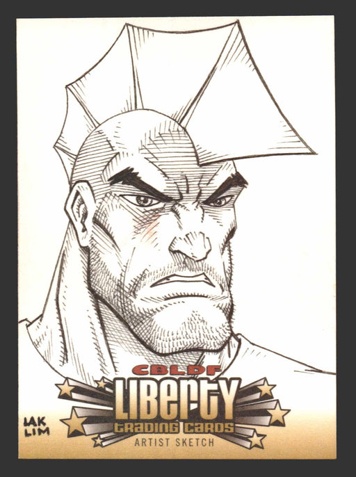 2011 Cryptozoic CBLDF Liberty Artist Sketch Card by Lak Lim - TvMovieCards.com