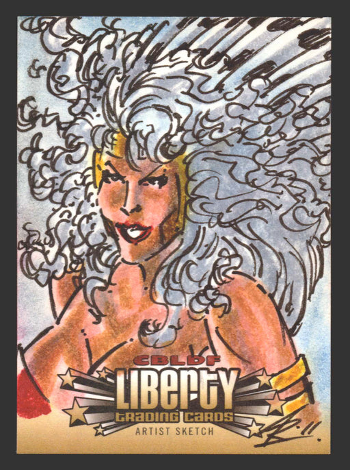2011 CBLDF Comic Book Legal Defense Fund Liberty Artist Sketch Trading Card - TvMovieCards.com