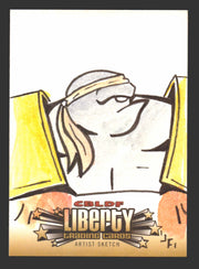 2011 Cryptozoic CBLDF Liberty Artist Sketch Card by Jerry Fleming   - TvMovieCards.com