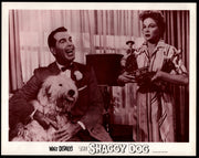 1967 Walt Disney's The Shaggy Dog Lobby Card 11x14 Fred MacMurray Jean Hagen - TvMovieCards.com