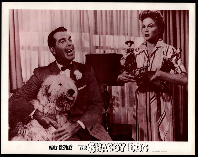 1967 Walt Disney's The Shaggy Dog Lobby Card 11x14 Fred MacMurray Jean Hagen - TvMovieCards.com
