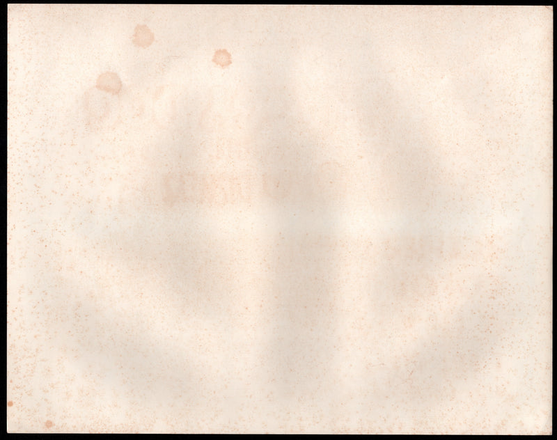 1967 Walt Disney's The Shaggy Dog Lobby Card 11x14 Fred MacMurray Jean Hagen - TvMovieCards.com