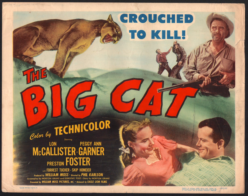 1949 The Big Cat #1 Lobby Card 11x14 Lon McCallister Peggy Ann Garner Preston Fo - TvMovieCards.com