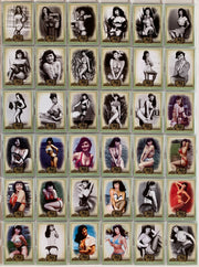 Bettie Page Pin-Ups Base Card Set 72 Cards Leaf 2014   - TvMovieCards.com