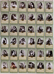 Bettie Page Pin-Ups Base Card Set 72 Cards Leaf 2014   - TvMovieCards.com