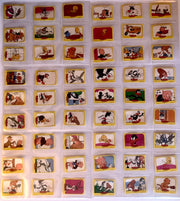 1985 Looney Tunes Bugs Bunny and Friends Trading Card Empty Box Monty Gum - TvMovieCards.com