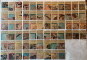 1966 Topps Rat Patrol Full 66 Card Complete Set #1-66 VG/Ex Printed in Canada - TvMovieCards.com
