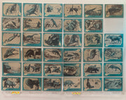1961 Nu-Cards Dinosaur Series COMPLETE 80 Card Set Near mint to EX Prehistoric M - TvMovieCards.com