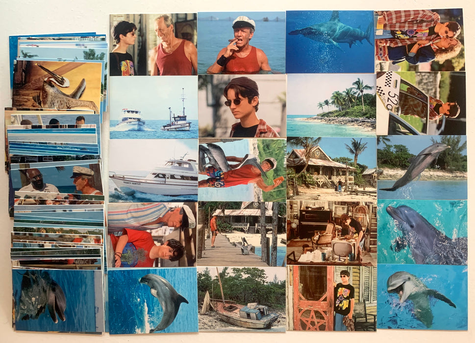 1996 Donruss Flipper The Movie 90 Cards Complete Base Card Set Near Mint - TvMovieCards.com
