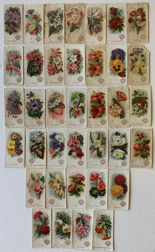 Beautiful Flowers 37 different Cards Small size Arm & Hammer 1888 J16 New series Church & Co.   - TvMovieCards.com