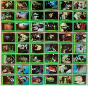 Incredible Hulk TV Show Vintage Base Card Set 88 Cards Topps 1979   - TvMovieCards.com
