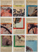 1966 Rat Patrol Complete Vintage Trading Card Set #1-66 Topps NM/MT   - TvMovieCards.com