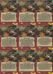 Crocodile Hunter Steve Irwin Most Dangerous Reptiles Chase Card Set DR-1 thru DR - TvMovieCards.com