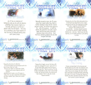 Smallville Season Five The Price of Life Chase Card Set PL.1-PL.6 Inkworks   - TvMovieCards.com