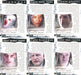 X-Files Connections Haunting Cases Foil Chase Card Set (6) Topps 2005   - TvMovieCards.com