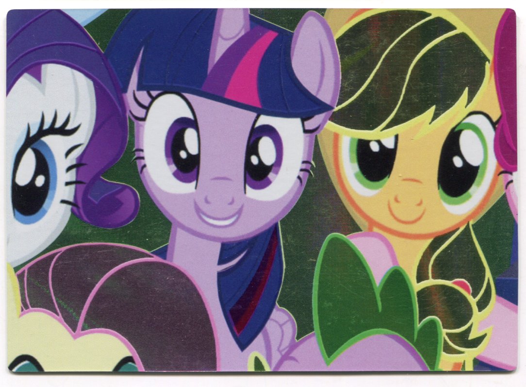 My Little Pony Series 3 Twilight Sparkle Fluttershy Rarity F50