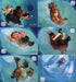 2002 Ice Age The Movie Acetate Chase Card Set IC1 thru IC12 Cards Hero Factory   - TvMovieCards.com