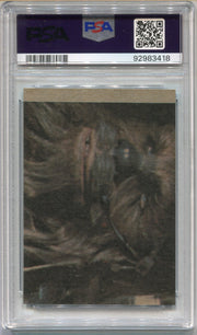 1977 Star Wars Luke Checks Out His New Droid #14 Trading Card PSA 7 NM   - TvMovieCards.com