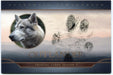 CZX Outlander Season 5 OS-DR1 Oversized Pawtograph Autograph Card Pawprint Dui   - TvMovieCards.com