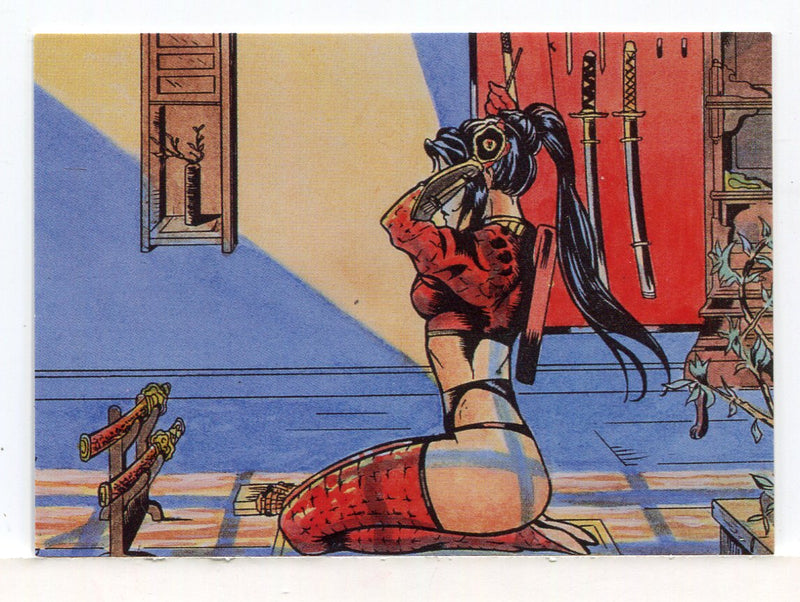 Shi Medallion Chase Card #7326 Comic Images 1995 - TvMovieCards.com