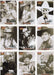 Country Gold Music Series 2 Singing Cowboys Silver Imprint Chase Card Set (9) - TvMovieCards.com