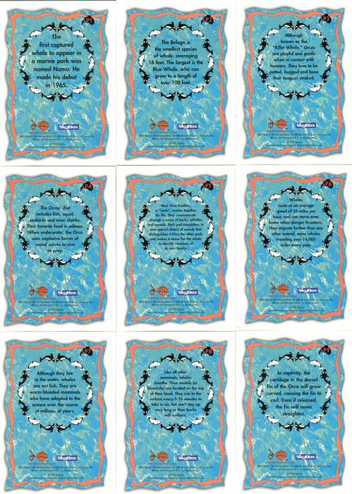 Free Willy 2 Movie Spectra- Etched Puzzle Chase Card Set SP1 - SP9 Skybox 1995 - TvMovieCards.com