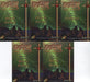 Razor Metal & Flesh Holochrome Chase Card Set (5) Krome 1996 - TvMovieCards.com