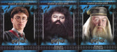 Harry Potter Heroes & Villains Promo Card Set 3 Cards P1 P2 P3 Artbox 2010 - TvMovieCards.com