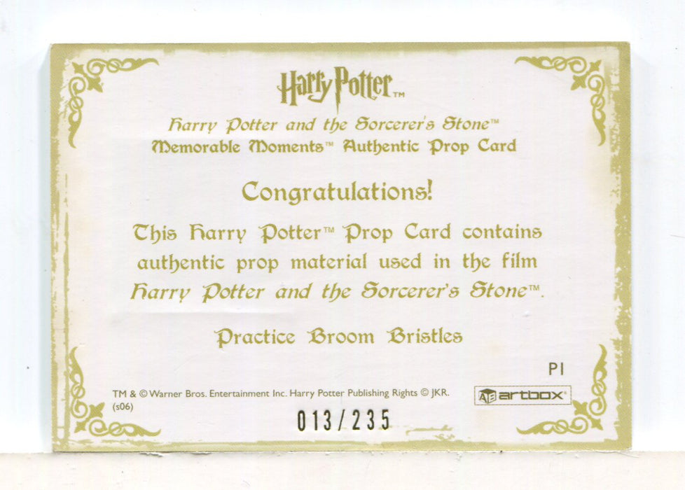 Harry Potter Memorable Moments Practice Broom Bristles Prop Card HP P1 #013/235 - TvMovieCards.com
