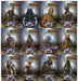 2014 Guardians of the Galaxy Galactic Residents Chase Card Set GR-1/GR-12 - TvMovieCards.com