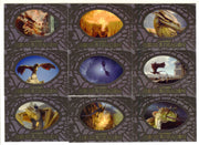 2024 House of the Dragon Season 1 The Dragons Chase Card Set D1-D9 - TvMovieCards.com