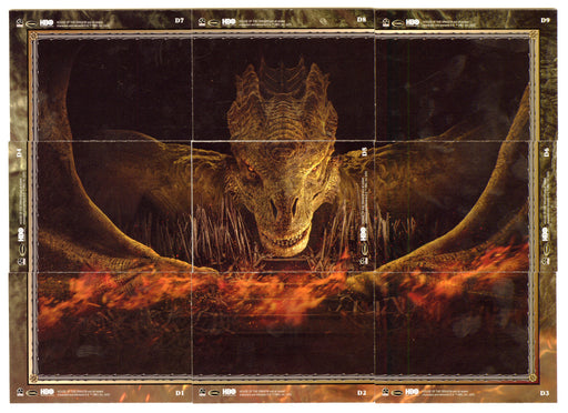 2024 House of the Dragon Season 1 The Dragons Chase Card Set D1-D9 - TvMovieCards.com