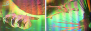 Babylon 5 Special Edition Silver Hologram Chase Card Set H1 and H2 - TvMovieCards.com