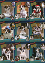 Frasier TV Show Premiere Edition Eddie the Dog Chase Card Set E1 - E9 - TvMovieCards.com