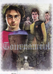 Harry Potter Goblet of Fire Prismatic Foil Chase Card Set 9 Cards R1 - R9 - TvMovieCards.com