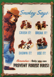 Smokey The Bear Base Card Set 50 Cards Dart Flipcards 1996   - TvMovieCards.com