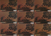 The World of Harry Potter 3D 1 Puzzle Chase Card Set 9 Cards PZ1 - PZ9   - TvMovieCards.com