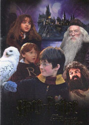 Harry Potter and the Sorcerer's Stone Trading Base Card Set 90 Cards 1st Movie   - TvMovieCards.com