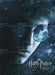 Harry Potter and the Half Blood Prince Foil Puzzle Chase Card Set R1 -R9   - TvMovieCards.com