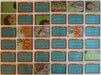 Menudo Music Vintage Trading Card Set 66 Cards + 22 Sticker Cards Topps 1983   - TvMovieCards.com