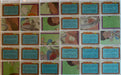 Menudo Music Vintage Trading Card Set 66 Cards + 22 Sticker Cards Topps 1983   - TvMovieCards.com