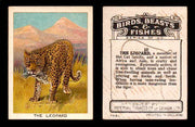 1923 Birds, Beasts, Fishes C1 Imperial Tobacco Vintage Trading Cards Singles #10 The Leopard  - TvMovieCards.com